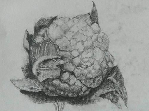 广州画室排名_广州十大美术培训班_广州最好的画室之一-广州寒阳画室