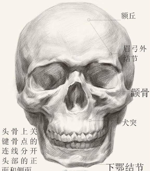 广州画室排名_广州十大美术培训班_广州最好的画室之一-广州寒阳画室