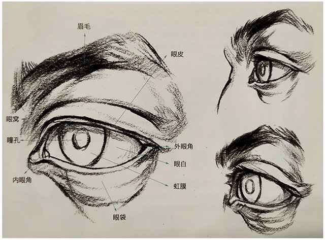 美术技巧教程:如何画好速写中人物静态之美“眼睛”!