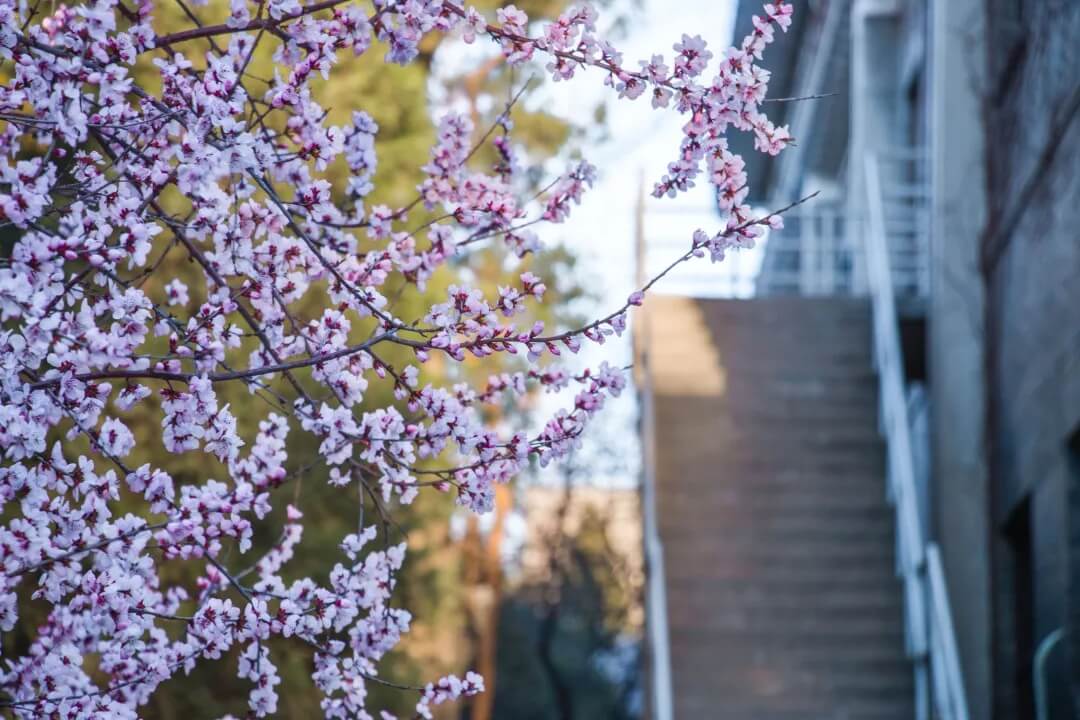广州美术培训学校小寒老师来讲讲,在清华美院上学是一种什么体验!