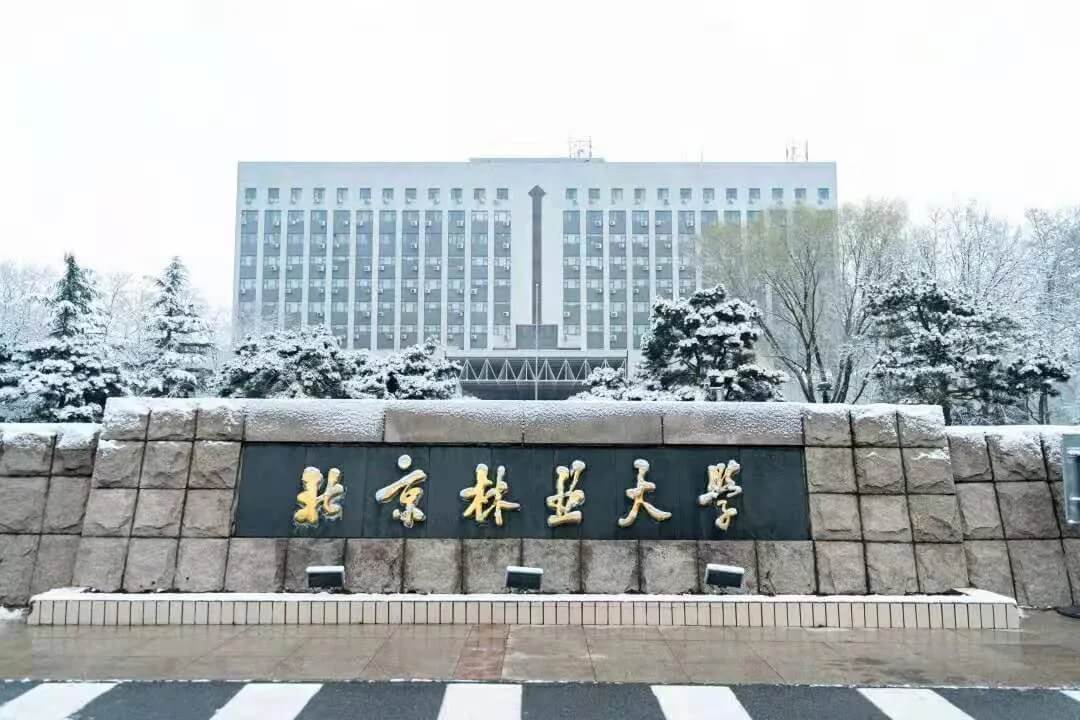 美术生,为什么要去大城市读大学?