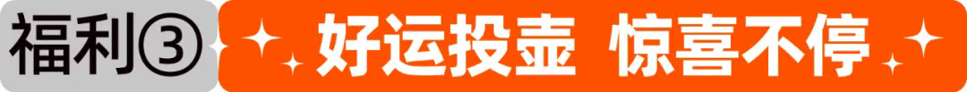 12.webp.png