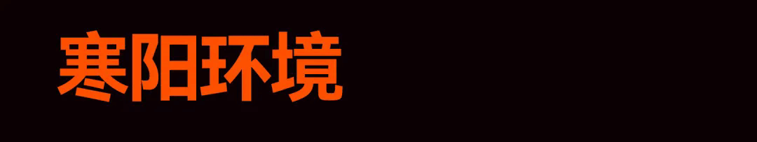 49.webp.png