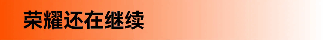 24.webp.png